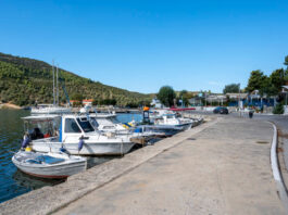 Is Coach Pontoons Still in Business?